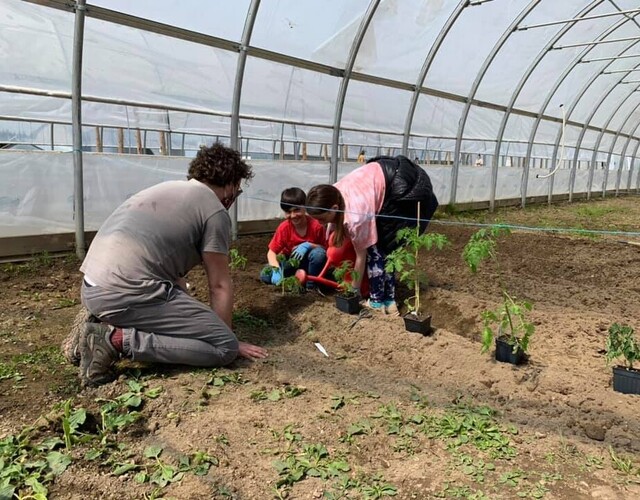 Les serres de Sainte-Irène : une solution pour réduire la facture d'épicerie