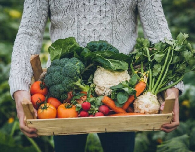 Jardinons au communautaire